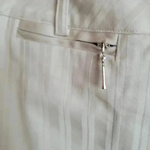 Jessica Sport Beige Tone on Tone  Striped Pencil Skirt Front Closure sz14 - Picture 4 of 8